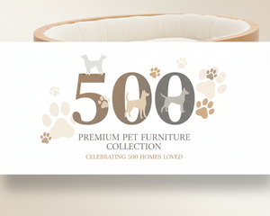 Collection image for: Explore Shop