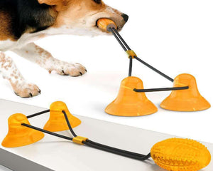 Collection image for: Explore Shop New Arrived