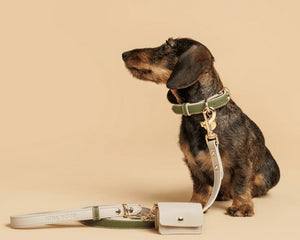 Collection image for: Collar