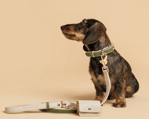 Collection image for: Air Tag & Leash