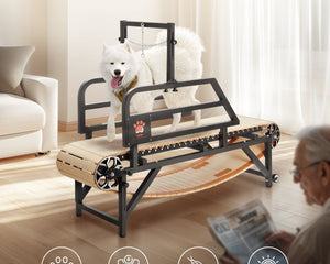 Collection image for: Pet Trendmill