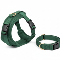 Collection image for: Pet Collars,Harnesses & Accessories