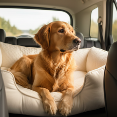 Collection image for: Dog Car Bed