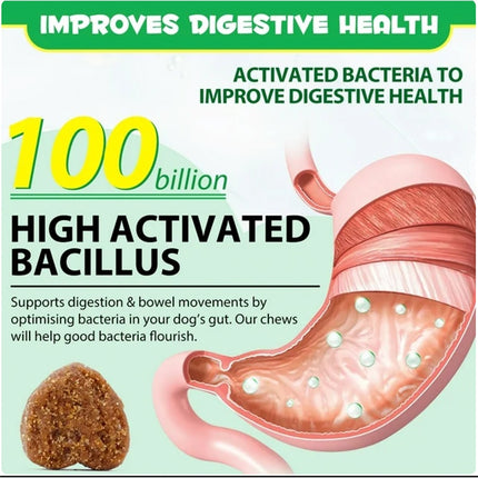 OEM Hot Sales Probiotics Chews For Pets Customized Shape For Digestive Health Pets Supplement Healthy Gut For Dogs