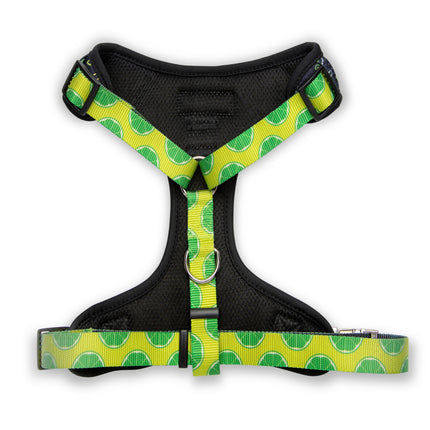 The Modern Dog Company - Retro Taco Tuesday Harness