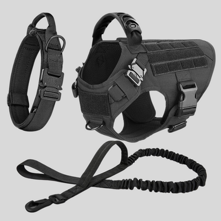 Large Dog Harness & Leash Set – Training Vest for Big Breeds