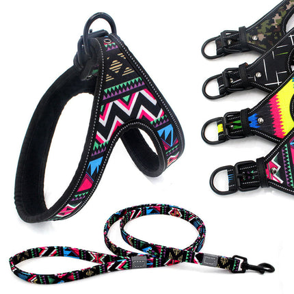 Night-Safe Dog Harness & Leash Set