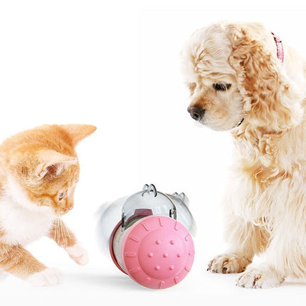 Interactive Pet Treat Dispenser Toy