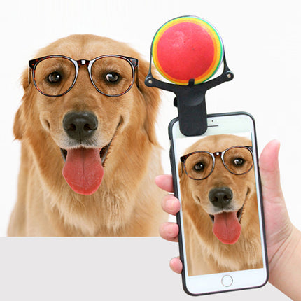 Pet photo props toy pet photo selfie artifact funny dog camera phone clip tennis selfie clip