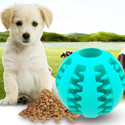 Dog Slow Feeder Rubber Ball Toy