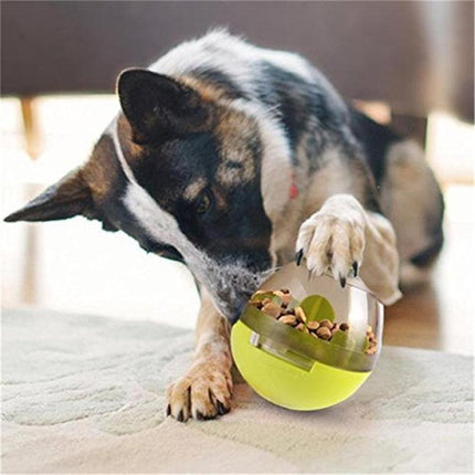 Dog Food Leaking Ball Toy