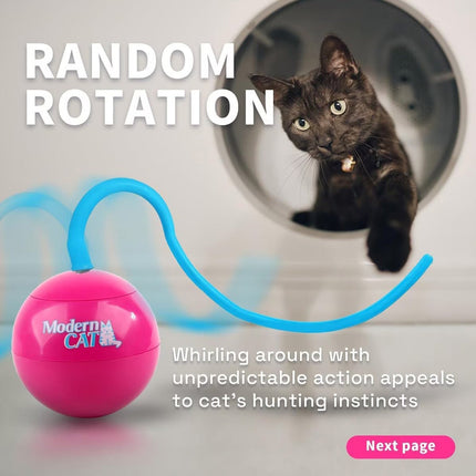 Modern Cat - Whirling tail Cat Toy