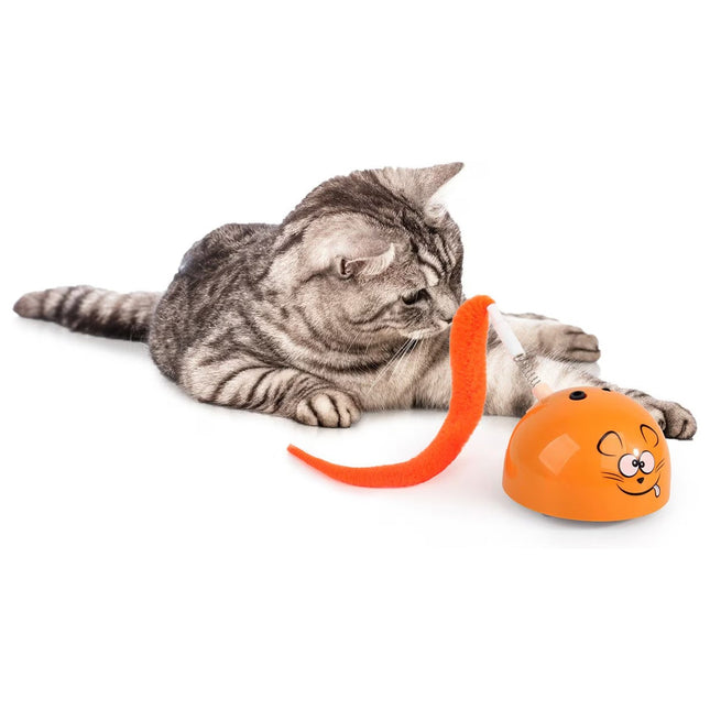 Modern Cat- Mad Mouse Cat Toy