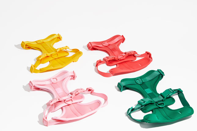 Luxe Harness - Palma