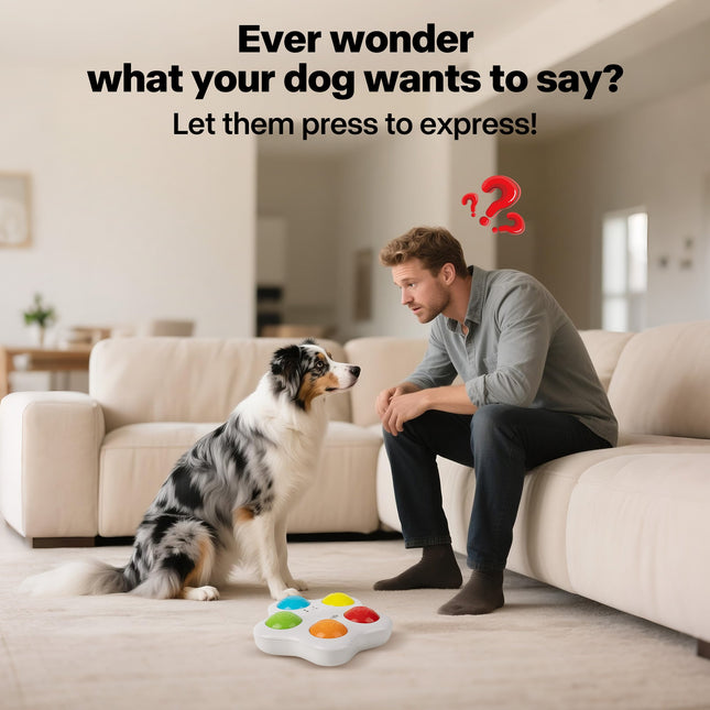 Interactive -Dog Toy - Pet Brain Trainning buttons