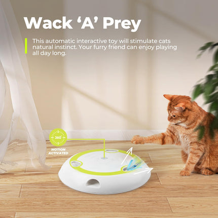 Interactive Cat Toy - Whack 'A' Prey