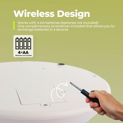 Interactive Cat Toy - Whack 'A' Prey