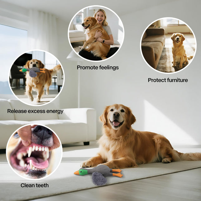 ZooTex Squeaky Latex Dog Toys - Soft Wing Mallard