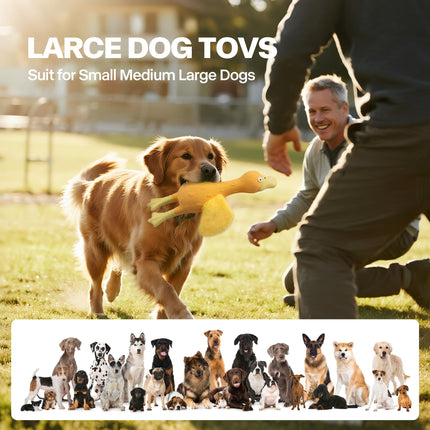 ZooTex - Squeaky Latex Dog Toys - Soft Wing Duck