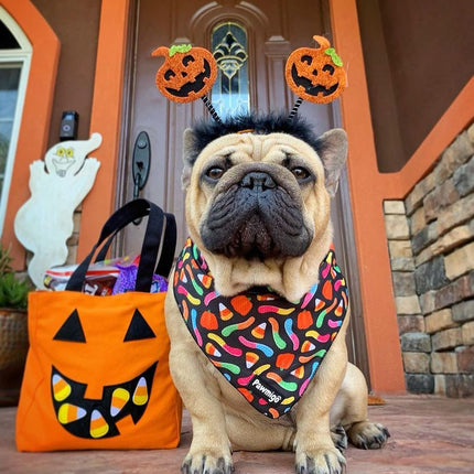Trick N Treat Cooling Bandana