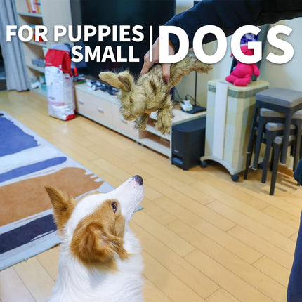 Classic - Dog Toys - Squeaky Dog Brown Rabbit Toys for Dogs - L