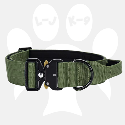Luxury Sleek Padded Dog Collar