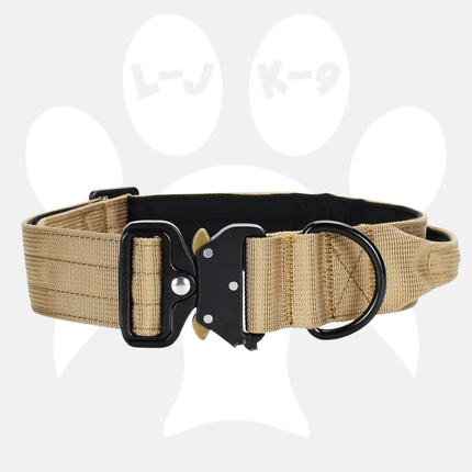 Luxury Sleek Padded Dog Collar