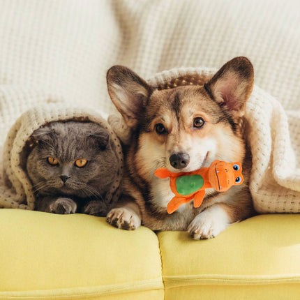 My T-Rex - Squeaky Dog Toys - Tim The Mini T-Rex Plush Dog Toy with Crinkle Paper - S