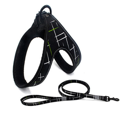 Night-Safe Dog Harness & Leash Set