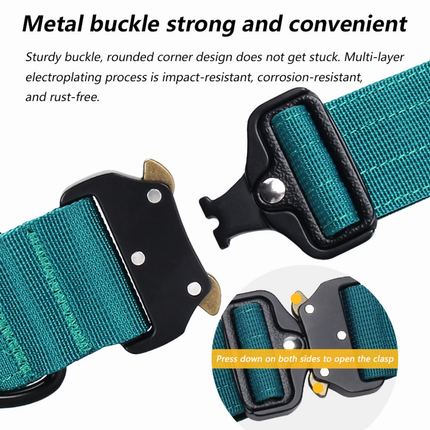 Luxury Sleek Padded Dog Collar