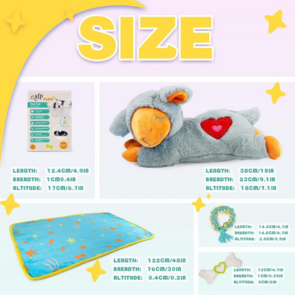 Pups - New Puppy Starter Kit