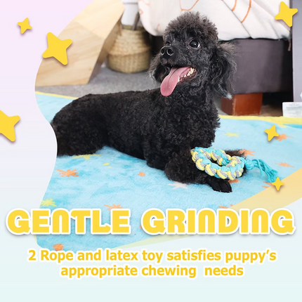 Pups - New Puppy Starter Kit