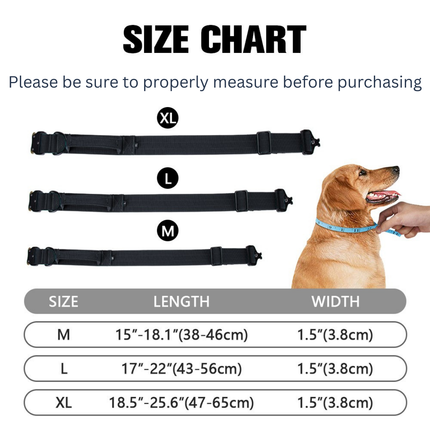 Luxury Sleek Padded Dog Collar