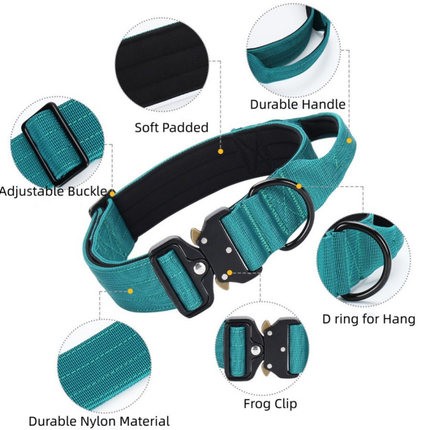 Luxury Sleek Padded Dog Collar