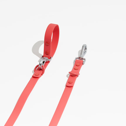 Luxe Leash - Poppy
