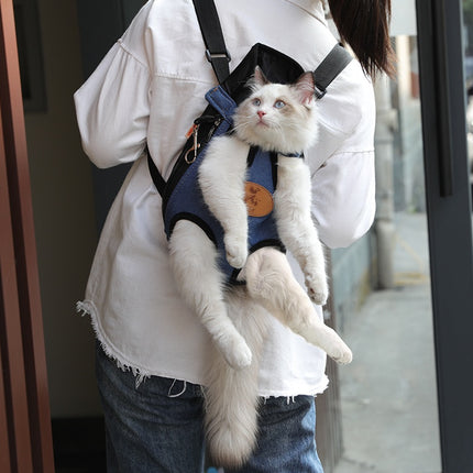 Portable cat backpack for spring outing