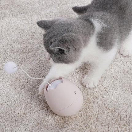 Funny Interactive Cat Artifact Toy