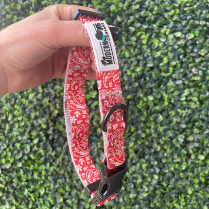 The Modern Dog Company - Bad to the Bone Bandana Collar