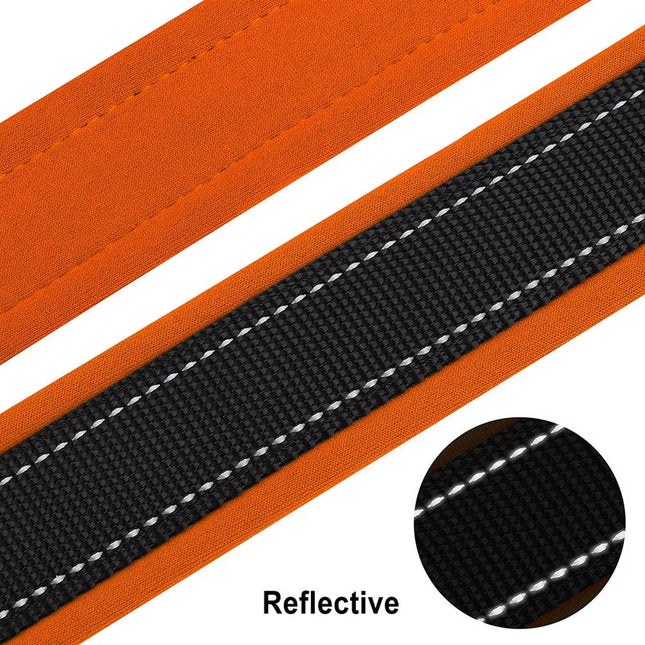 Personalized Dogs Padded Collars Reflective | Custom Name ID Tag Dog Collar | Collar for Pet Small Medium Large Dog - C1532- SLKZGXQ