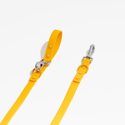Luxe Leash - Soleil