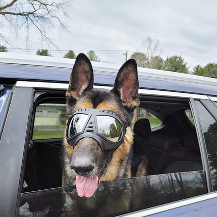 "Doggles" Dog Goggles Sunglasses
