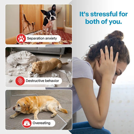 Chill Out - Dog Cooler Bowl - Frosty Lick with Strong Suction Cup