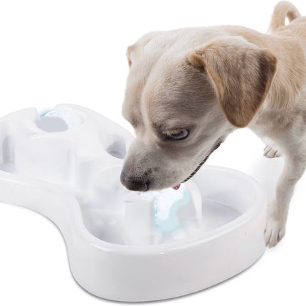 Chill Out - Doy Bowl - Cooling Feast Dog Bowl