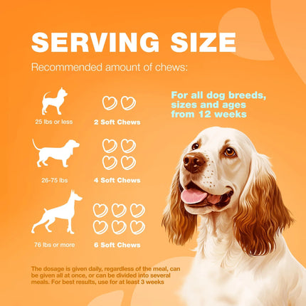 Dog Allergy Relief Chews Itch Relief For Dogs Anti Itch Dog Allergy Chews US Formulated Dog Itching Skin Relief With Salmon Oil Immune Health Seasonal Allergies & Hot Spots Support Treats