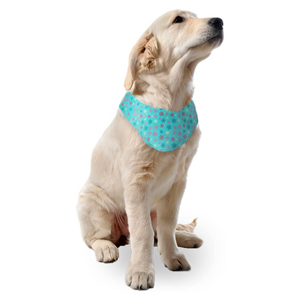 Chill-Out - Cooling Pet Bandana