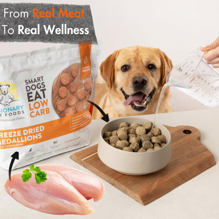 Yellow labrador with bowl of freeze dried chicken dog food, water being poured, product bag nearby.
