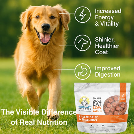 Happy golden retriever running on grass with Visionary Pet Foods freeze dried medallions, promoting increased energy, healthier coat, and improved digestion.
