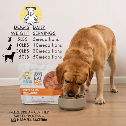 Golden retriever eating freeze dried medallions from bowl; Visionary Pet Foods low carb dog food package and feeding chart visible.