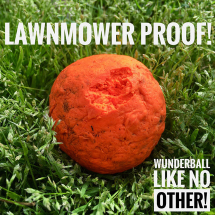 WUNDERball - Best Fetch Toy