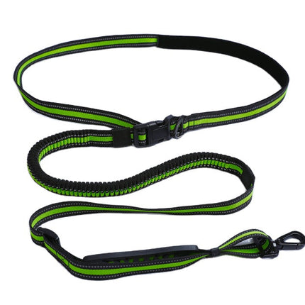 Hands-Free Running/Hiking Bungee Leash